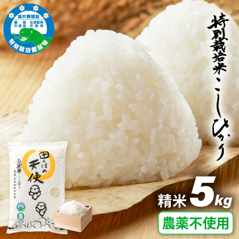 [令和7年産]農薬不使用 特別栽培米コシヒカリ5kg[精米]福井県認証区分1取得「田んぼの天使」越前町[5キロ お米 コメ 農薬化学肥料不使用 送料無料]