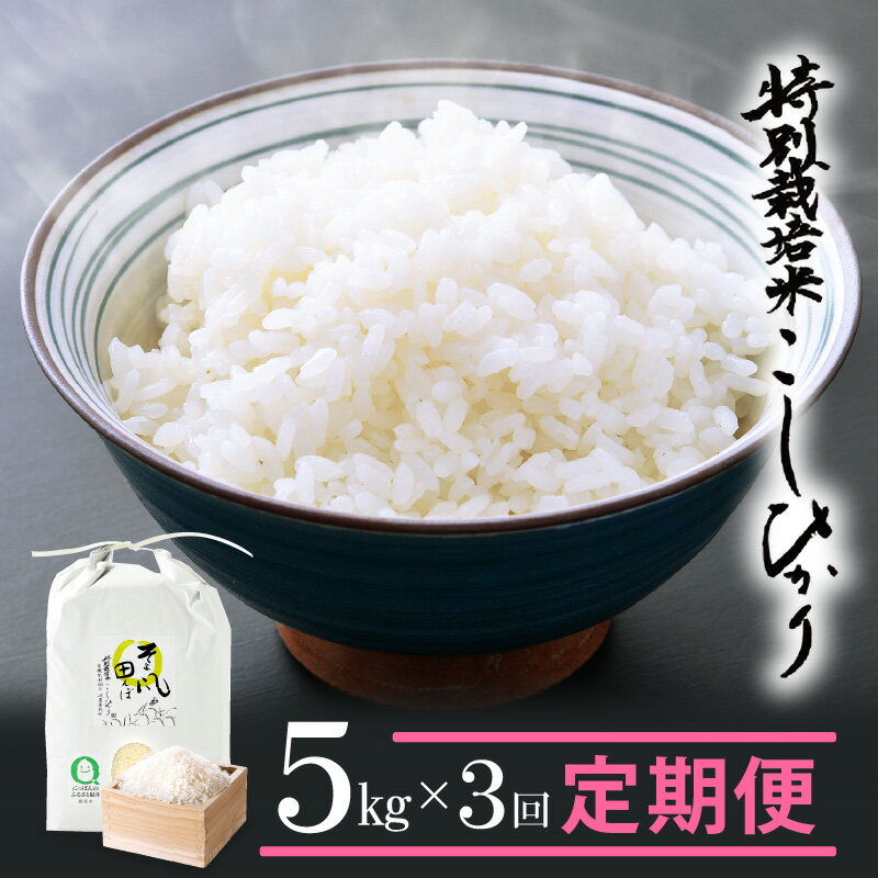 米 定期便 ≪3ヶ月連続お届け≫ 特別栽培米 コシヒカリ 5kg × 3回 令和5年産 福井県産[こしひかり 計15キロ 精米 人気品種 有機肥料100% 減農薬栽培] [e10-c001]