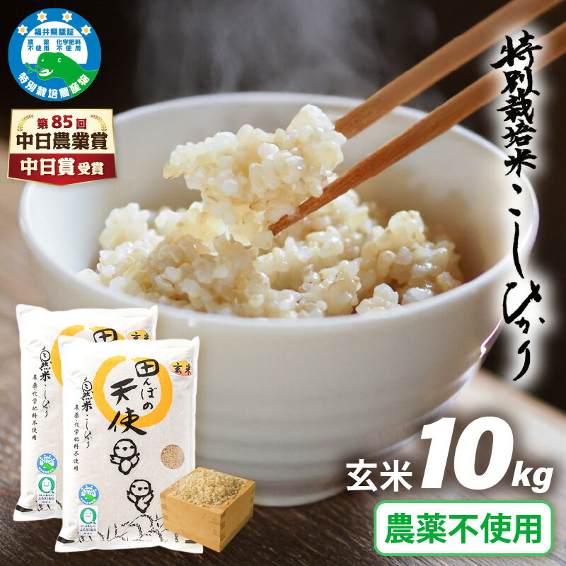 【ふるさと納税】【中日賞受賞】【令和7年産】農薬不使用 特別栽培米コシヒカリ10kg（5kg×2）【玄米】福井県認証区分1取得「田んぼの天使」越前町 【10キロ お米 コメ 農薬化学肥料不使用 送料無料】