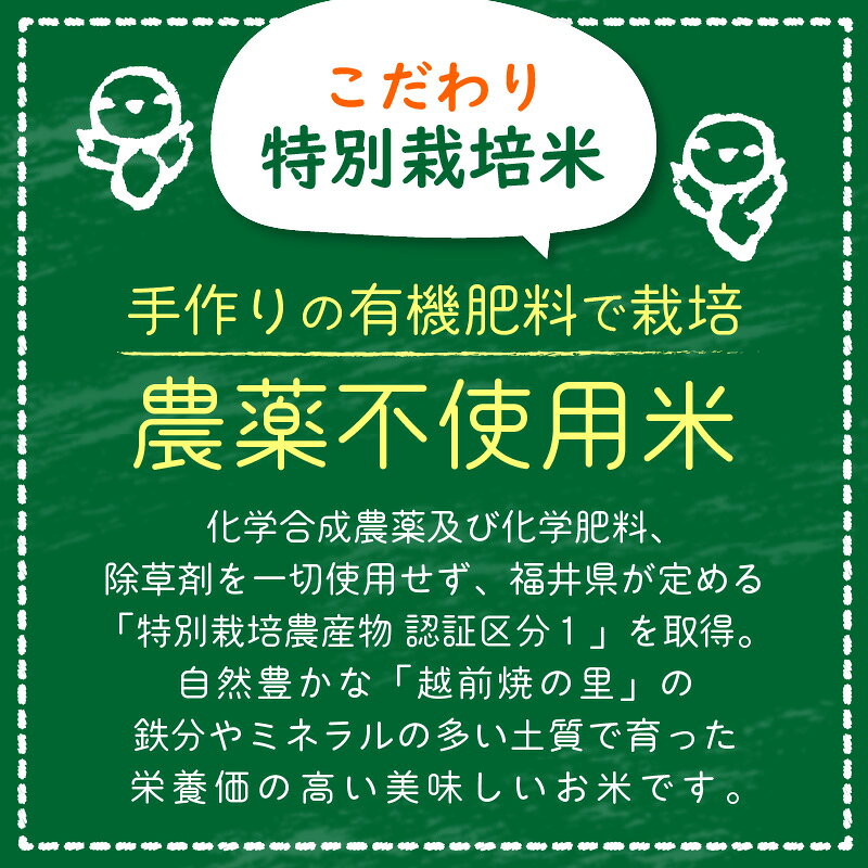 福井県越前町の画像3