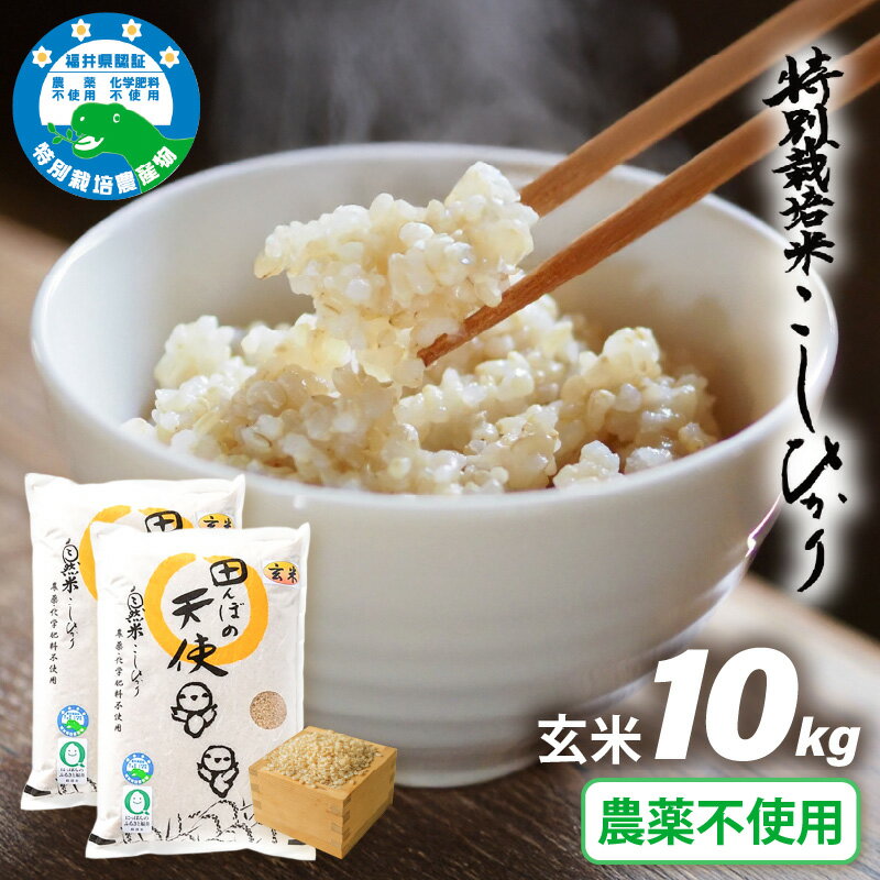 [令和7年産]農薬不使用 特別栽培米コシヒカリ10kg(5kg×2)[玄米]福井県認証区分1取得「田んぼの天使」越前町 [10キロ お米 コメ 農薬化学肥料不使用 送料無料]