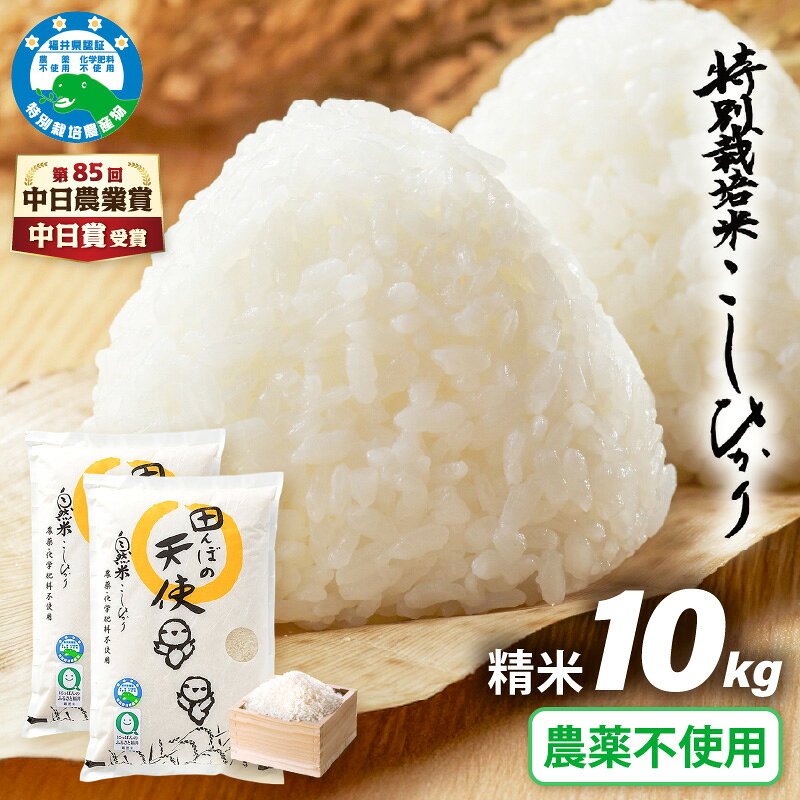 【ふるさと納税】【中日賞受賞】農薬不使用 特別栽培米コシヒカリ10kg（5kg×2）【...