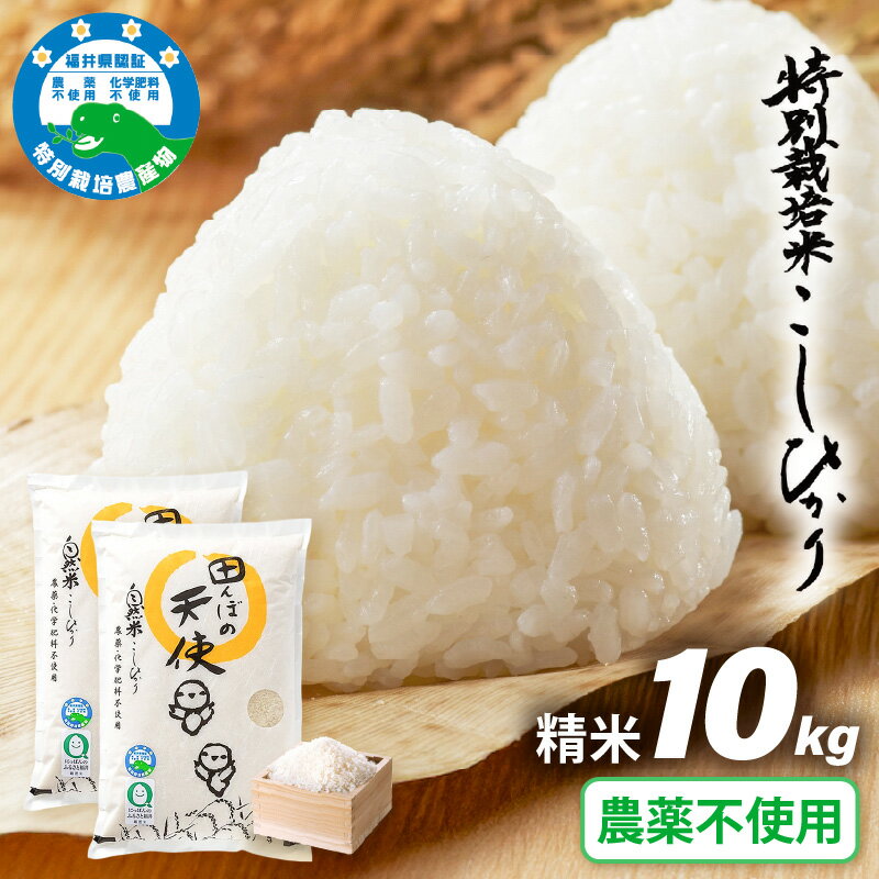 [令和7年産]農薬不使用 特別栽培米コシヒカリ10kg(5kg×2)[精米]福井県認証区分1取得「田んぼの天使」越前町[10キロ お米 コメ 農薬化学肥料不使用 送料無料]