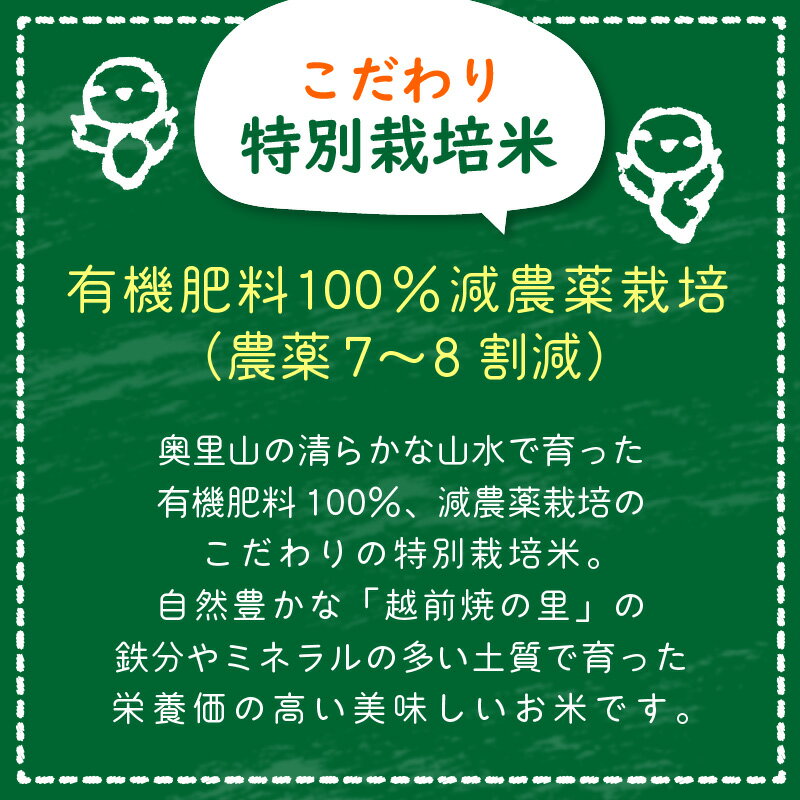 【ふるさと納税】米 定期便 ≪3か月連続お届け≫ 特別栽培米 コシヒカリ 10kg × 3回 令和3年福井県産【こしひかり 計30キロ 精米 人気品種 有機肥料100% 減農薬栽培】 [e10-f001]