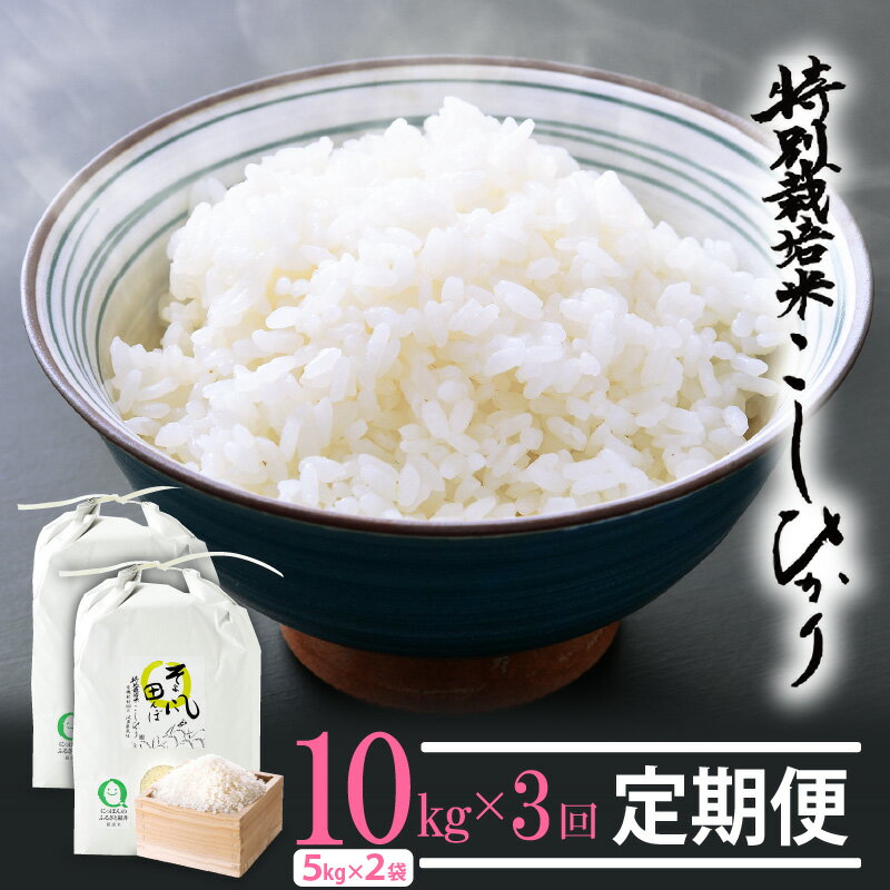 【ふるさと納税】新米 令和7年産 米 定期便 ≪3ヶ月連続お届け≫ 特別栽培米 コシヒカリ 10kg × 3回 福井県産米(有機肥料100% 農薬7割減)【人気...