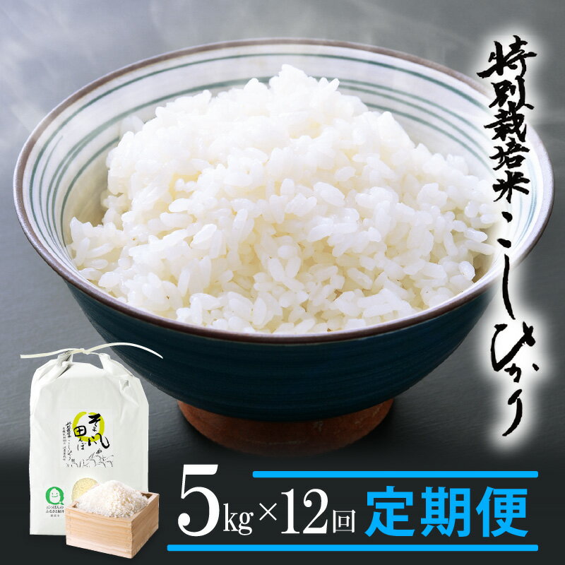 6位! 口コミ数「0件」評価「0」米 定期便 ≪12ヶ月連続お届け≫ 特別栽培米 コシヒカリ 5kg × 12回 令和5年産 福井県産【こしひかり 計60キロ 精米 人気品種･･･ 