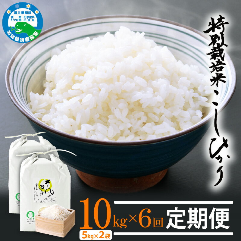 308位! 口コミ数「0件」評価「0.0」 令和7年産 米 定期便 ≪6ヶ月連続お届け≫ 特別栽培米 コシヒカリ 10kg × 6回 福井県産米（有機肥料100% 農薬7割減）「そよ風田んぼ」【人気品種 こしひかり 計60キロ 田んぼの天使 ･･･ 