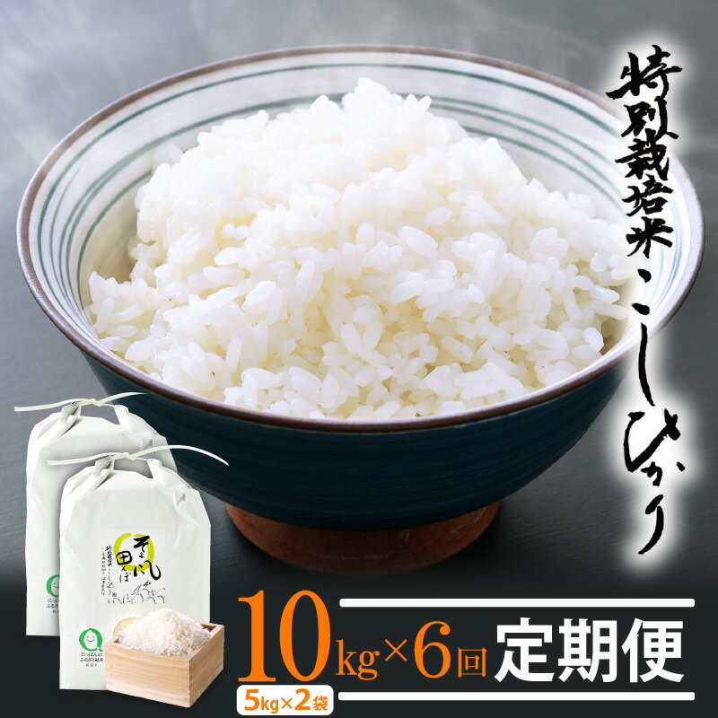 【ふるさと納税】新米 令和7年産 米 定期便 ≪6ヶ月連続お届け≫ 特別栽培米 コシヒカリ 10kg × 6回 福井県産米(有機肥料100% 農薬7割減)【人気...