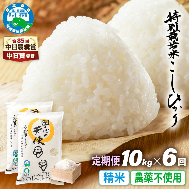 【ふるさと納税】【中日賞受賞】《6ヶ月定期便》農薬不使用こしひかり 10kg（5kg×2袋）×6ヶ月連続 計60kg 特別栽培米コシヒカリ【精米】福井県認証区分1取得「田んぼの天使」越前町【5キロ お米 コメ 農薬化学肥料不使用 送料無料】 f184233-echizen-10001775 福井県越前町 サンプル画像2