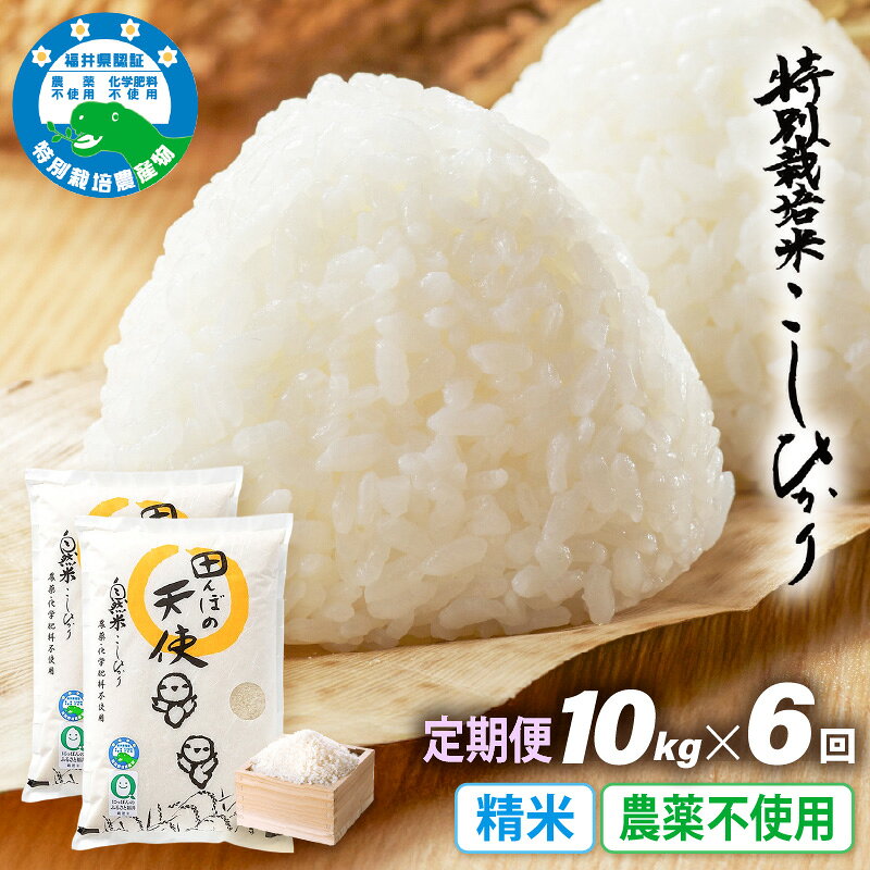 397位! 口コミ数「0件」評価「0.0」《6ヶ月定期便》農薬不使用こしひかり 10kg（5kg×2袋）×6ヶ月連続 計60kg 令和7年産 特別栽培米コシヒカリ【精米】福井県認証区分1取得「田んぼの天使」越前町【5キロ お米 コメ 農薬化学･･･ 