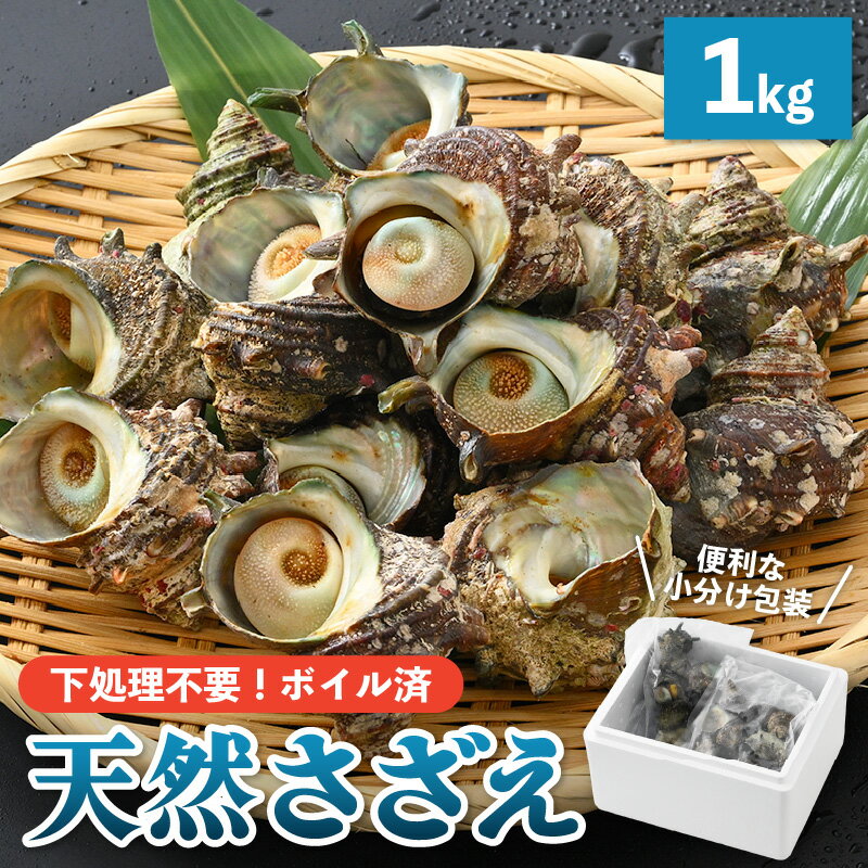 【ふるさと納税】【先行予約】天然 さざえ ボイル済 13〜15個入 1kg（500g × 2袋）【2024年6月10日以降順次発送】【栄螺 サザエ 冷凍 小分け 海鮮 BBQ バーベキュー】 [e14-a008]