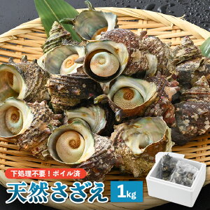 【ふるさと納税】【先行予約】天然 さざえ ボイル済 13〜15個入 1kg（500g × 2袋）【2024年6月10日以降順次発送】【栄螺 サザエ 冷凍 小分け 海鮮 BBQ バーベキュー】 [e14-a008]