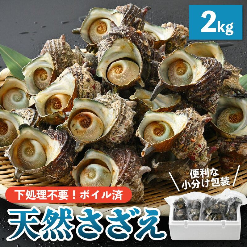 【ふるさと納税】【先行予約】天然 さざえ ボイル済 26〜30個入 2kg（500g × 4袋）【2024年6月10日以降順次発送】【栄螺 サザエ 冷凍 小分け 海鮮 BBQ バーベキュー】 [e14-a009]