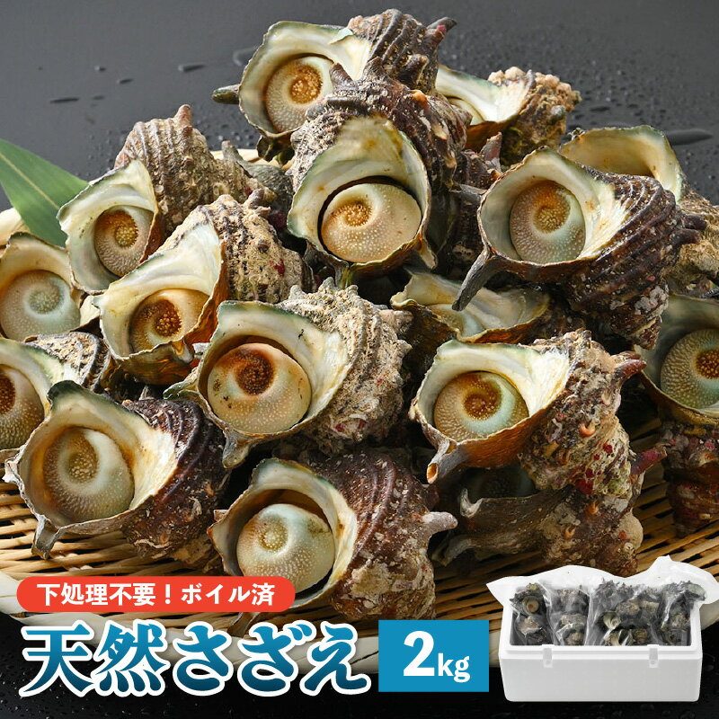 【ふるさと納税】【先行予約】天然 さざえ ボイル済 26〜30個入 2kg（500g × 4袋）【2024年6月10日以...