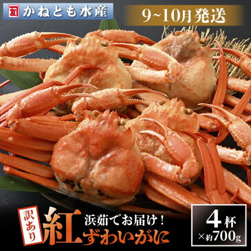 【ふるさと納税】 【訳あり】 越前産 紅ずわいがに 約700g × 4杯 食べ方しおり付【 紅ズワイガニ カニ かに 蟹 】【9月・10月発送】 浜茹で ボイル 冷蔵 [e14-b001]