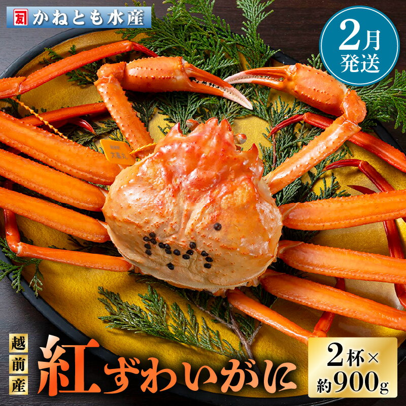 【ふるさと納税】≪浜茹で≫越前産 紅ずわいがに 約900g × 2杯 食べ方しおり付【紅ズワイガニ カニ かに 蟹 姿 ボイル 冷蔵 福井県】【2月発送分】希望日指定不可 [e14-x001_02]