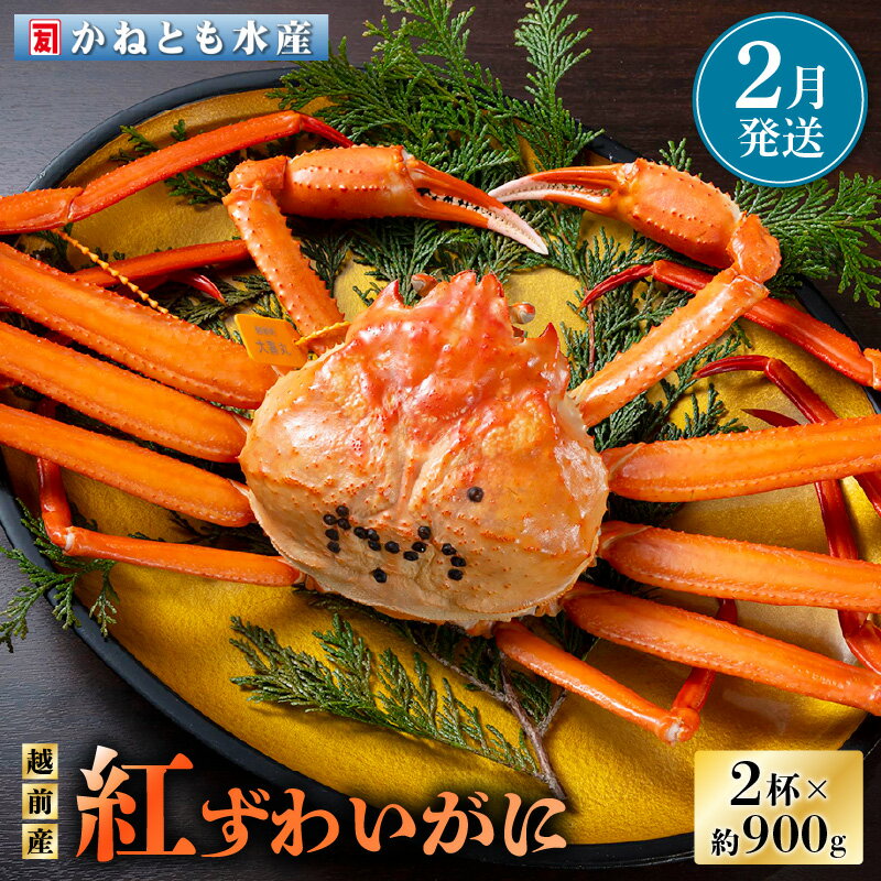 【ふるさと納税】≪浜茹で≫越前産 紅ずわいがに 約900g × 2杯 食べ方しおり付【紅ズワイガニ カニ かに 蟹 姿 ボイル 冷蔵 福井県】【2月発送分】希望...