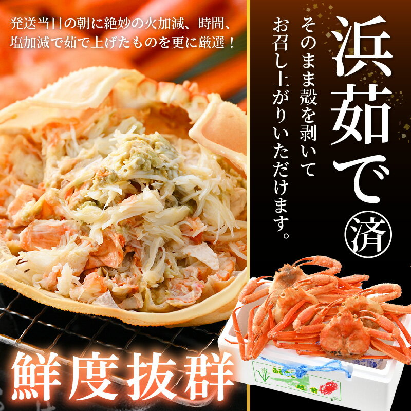 【ふるさと納税】【訳あり】≪浜茹で≫越前産 紅ずわいがに 約700g × 2杯 〜 4杯 食べ方しおり付【紅ズワイガニ カニ かに 蟹 姿 ボイル 冷蔵 福井県】【4月発送分】希望日指定不可