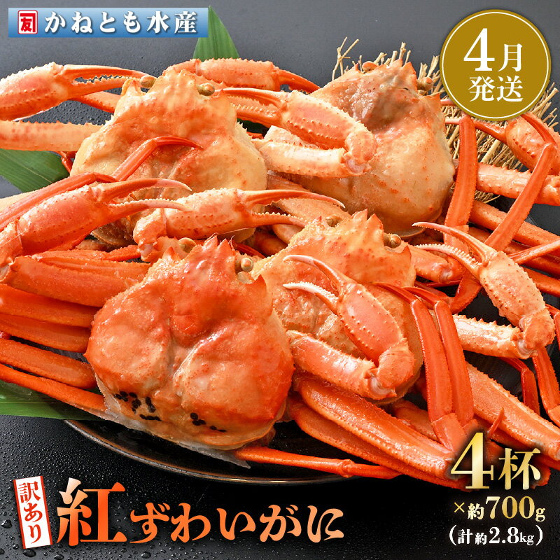 【ふるさと納税】【訳あり】≪浜茹で≫越前産 紅ずわいがに 約700g × 4杯 食べ方しおり付【紅ズワイガニ カニ かに 蟹 姿 ボイル 冷蔵 福井県】【4月発送分】希望日指定可 備考欄に電話番号をご記入ください [e14-x002_04]