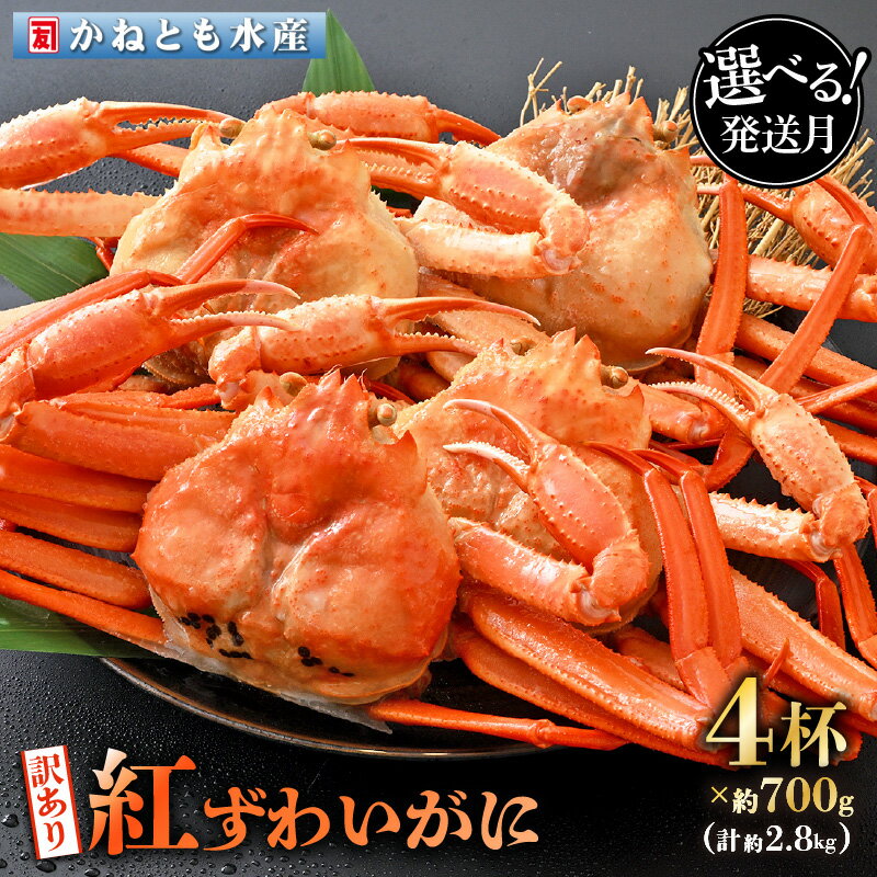 【ふるさと納税】【訳あり】≪浜茹で≫越前産 紅ずわいがに 約700g × 4杯 食べ方しおり付【選べる発送月...