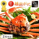 【ふるさと納税】【訳あり】≪浜茹で≫越前がに 600g〜900g前後 × 2杯(※生重量)食べ方しおり付【雄 ズワイガニ ずわいがに 越前ガニ 姿 ボイル 冷蔵...
