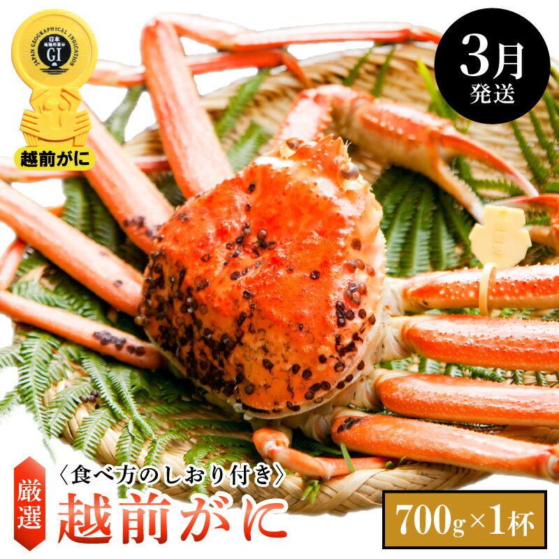 【ふるさと納税】≪浜茹で≫越前がに 小サイズ × 1杯（生で700g以上）食べ方しおり付【雄 ズワイガニ ずわいがに 越前ガニ 姿 ボイル 冷蔵 福井県】【3月発送分】希望日指定可 備考欄に電話番号をご記入ください [e14-x005_03]