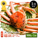 【ふるさと納税】≪浜茹で≫越前がに 中サイズ × 1杯(生で900g以上)食べ方しおり付【雄 ズワイガニ ずわいがに 越前ガニ 姿 ボイル 冷蔵 福井県】【1月...