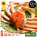【ふるさと納税】≪浜茹で≫越前がに 中サイズ × 1杯(生で900g以上)食べ方しおり付【雄 ズワイガニ ずわいがに 越前ガニ 姿 ボイル 冷蔵 福井県】【12...