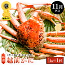 【ふるさと納税】≪浜茹で≫越前がに 大サイズ × 1杯(生で1kg以上)食べ方しおり付【雄 ズワイガニ ずわいがに 越前ガニ 姿 ボイル 冷蔵 福井県】【11月...