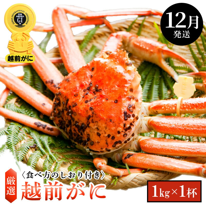 【ふるさと納税】≪浜茹で≫越前がに 大サイズ × 1杯（生で1kg以上）食べ方しおり付【雄 ズワイガニ ずわいがに 越前ガニ 姿 ボイル 冷蔵 福井県】【12月発送分】希望日指定可 備考欄に希望日をご記入ください [e14-x007_12]
