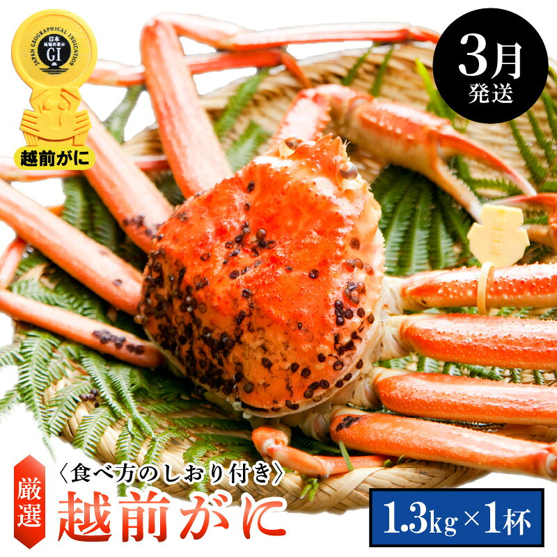 【ふるさと納税】≪浜茹で≫越前がに 特大サイズ × 1杯（生で1.3kg以上）食べ方しおり付【雄 ズワイガニ ずわいがに 越前ガニ 姿 ボイル 冷蔵 福井県】【3月発送分】希望日指定可 備考欄に希望日をご記入ください [e14-x010_03]