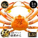 【ふるさと納税】≪浜茹で≫越前がに極 × 1杯(生で1.5kg以上)食べ方しおり付【雄 ズワイガニ ずわいがに 越前ガニ 姿 ボイル 冷蔵 福井県】【1月発送分...