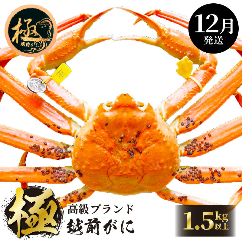【ふるさと納税】≪浜茹で≫越前がに極 × 1杯（生で1.5kg以上）食べ方しおり付【雄 ズワイガニ ずわいがに 越前ガニ 姿 ボイル 冷蔵 福井県】【12月発送分】希望日指定可 備考欄に希望日をご記入ください [e14-x012_12]のサムネイル