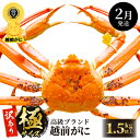 【ふるさと納税】【訳あり】≪浜茹で≫越前がに 極サイズ × 1杯(生で1.5kg以上) 食べ方しおり付 味は「極」同様!【雄 ズワイガニ かに カニ 蟹 越前ガ...