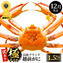 【ふるさと納税】【訳あり】≪浜茹で≫越前がに 極サイズ × 1杯(生で1.5kg以上) 食べ方しおり付 味は「極」同様!【雄 ズワイガニ かに カニ 蟹 越前ガ...