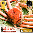 【ふるさと納税】≪浜茹で≫越前がに 小サイズ(生で700g以上)× 2杯 合計1.4kg以上 食べ方しおり付【雄 ズワイガニ かに カニ 蟹 越前ガニ 姿 ボイ...