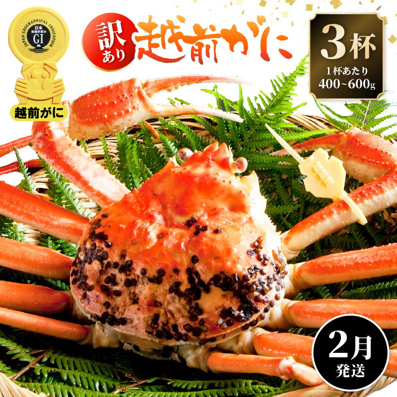 【ふるさと納税】【訳あり】≪浜茹で≫越前がに 3杯(生で1杯400〜600g)食べ方しおり付【規格外 雄 ズワイガニ かに カニ 蟹 越前ガニ 姿 ボイル 冷蔵...