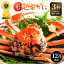 【ふるさと納税】【訳あり】≪浜茹で≫越前がに 3杯(生で1杯400〜600g)食べ方しおり付【規格外 雄 ズワイガニ かに カニ 蟹 越前ガニ 姿 ボイル 冷蔵...