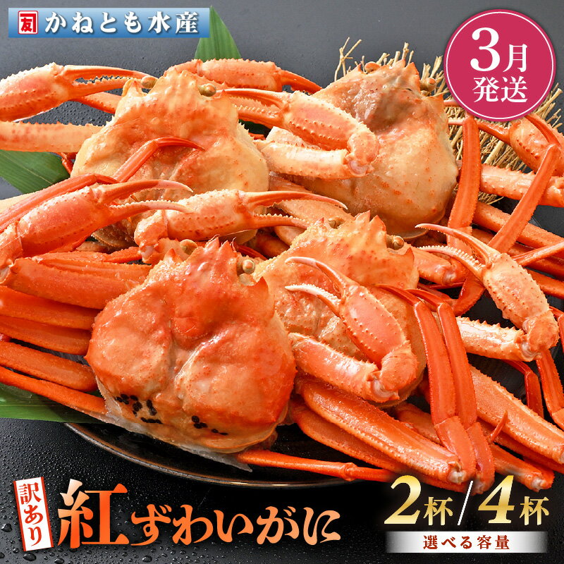 【ふるさと納税】【訳あり】≪浜茹で≫越前産 紅ずわいがに 約700g × 2杯 〜 4杯 食べ方しおり付【紅ズワイガニ カニ かに 蟹 姿 ボイル 冷蔵 福井県】【3月発送分】希望日指定不可