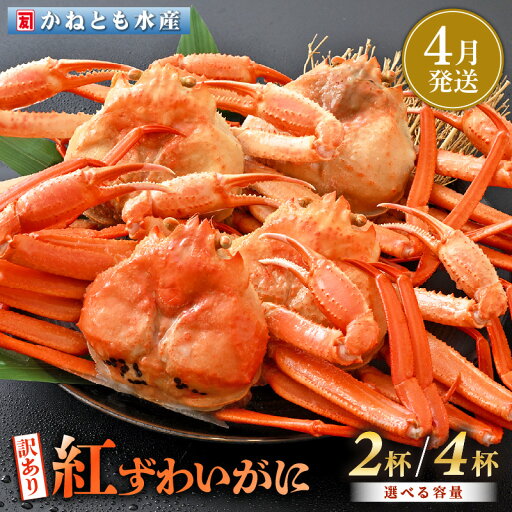 【ふるさと納税】【訳あり】≪浜茹で≫越前産 紅ずわいがに 約700g × 2杯 〜 4杯 食べ方しおり付【紅ズワイガニ カニ かに 蟹 姿 ボイル 冷蔵 福井県】【4月発送分】希望日指定不可 【ふるさと納税】【訳あり】≪浜茹で≫越前産 紅ずわいがに 約700g × 2杯 〜 4杯 食べ方しおり付【紅ズワイガニ カニ かに 蟹 姿 ボイル 冷蔵 福井県】【4月発送分】希望日指定不可