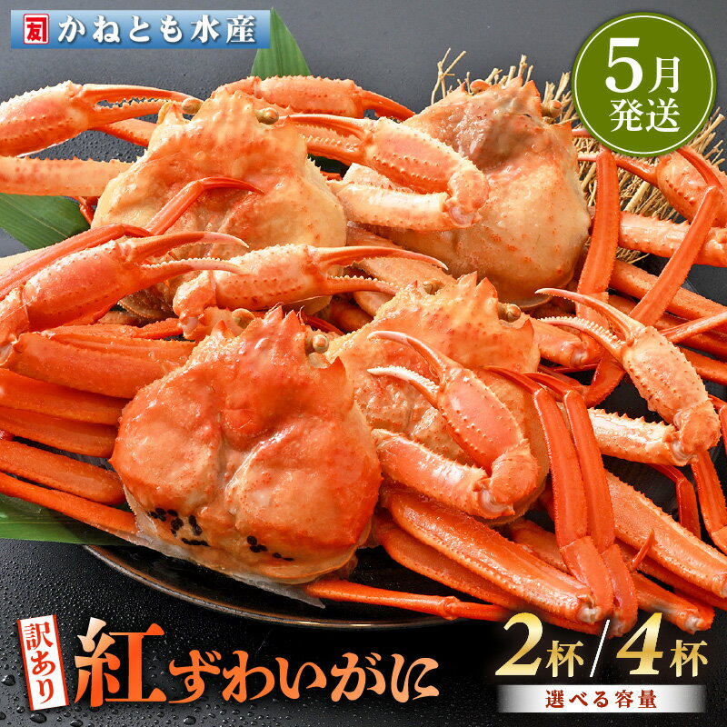 【ふるさと納税】【訳あり】≪浜茹で≫越前産 紅ずわいがに 約700g × 2杯 〜 4杯 食べ方しおり付【紅ズワイガニ カニ かに 蟹 姿 ボイル 冷蔵 福井県】【5月発送分】希望日指定不可