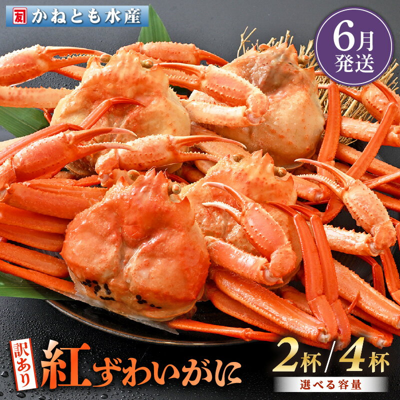 【ふるさと納税】【訳あり】≪浜茹で≫越前産 紅ずわいがに 約700g × 2杯 〜 4杯 食べ方しおり付【紅ズワイガニ カニ かに 蟹 姿 ボイル 冷蔵 福井県】【6月発送分】希望日指定不可