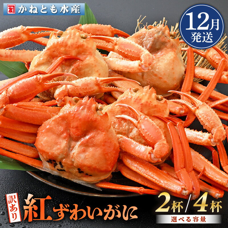 【ふるさと納税】【訳あり】≪浜茹で≫越前産 紅ずわいがに 約700g × 2杯 〜 4杯 食べ方しおり付【紅ズワイガニ カニ かに 蟹 姿 ボイル 冷蔵 福井県】【12月発送分】希望日指定不可