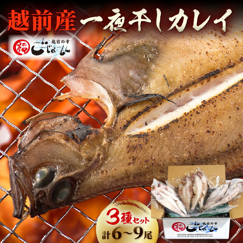 一夜干し カレイ3種セット(2〜3尾入り3パック)【冷凍 魚介 魚 干物 加工品 食べ比べ 国産 日本海 かれい 5000円】【越前海岸・美味直送シリーズ 買い回り お買い物マラソン 5000円以下】