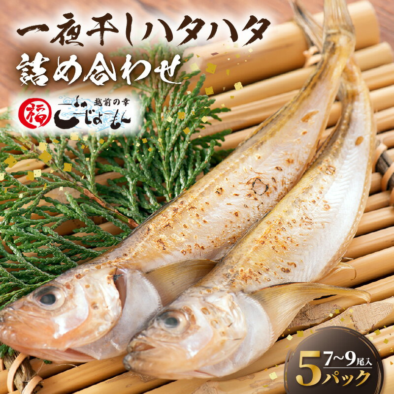 【ふるさと納税】【先行予約】越前産 はたはた 「一夜干しハタハタ詰合わせ（7～9尾入り×5パック）」 ...