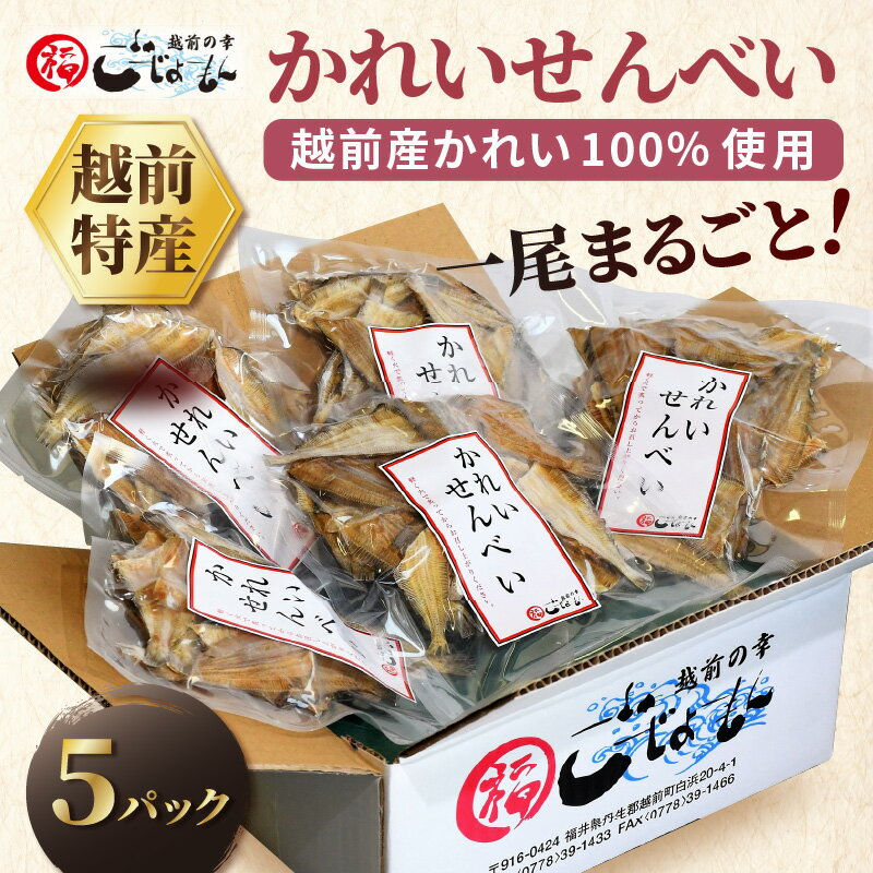 【ふるさと納税】無添加 かれい煎餅 50g × 5パック【越前産カレイ100%使用】【越前海岸・美味直送シリーズ】