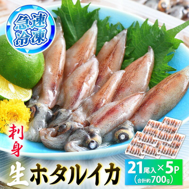 【ふるさと納税】【TVで紹介！】 急速冷凍 生 ホタルイカ 21尾入 × 5パック 合計約700g（刺身・しゃぶしゃぶ用）小分け 鮮度抜群 全国トップクラスの漁獲量【ほたるいか おつまみ 酒の肴 お取り寄せ グルメ 冷凍 宅飲み】 [e15-a015]