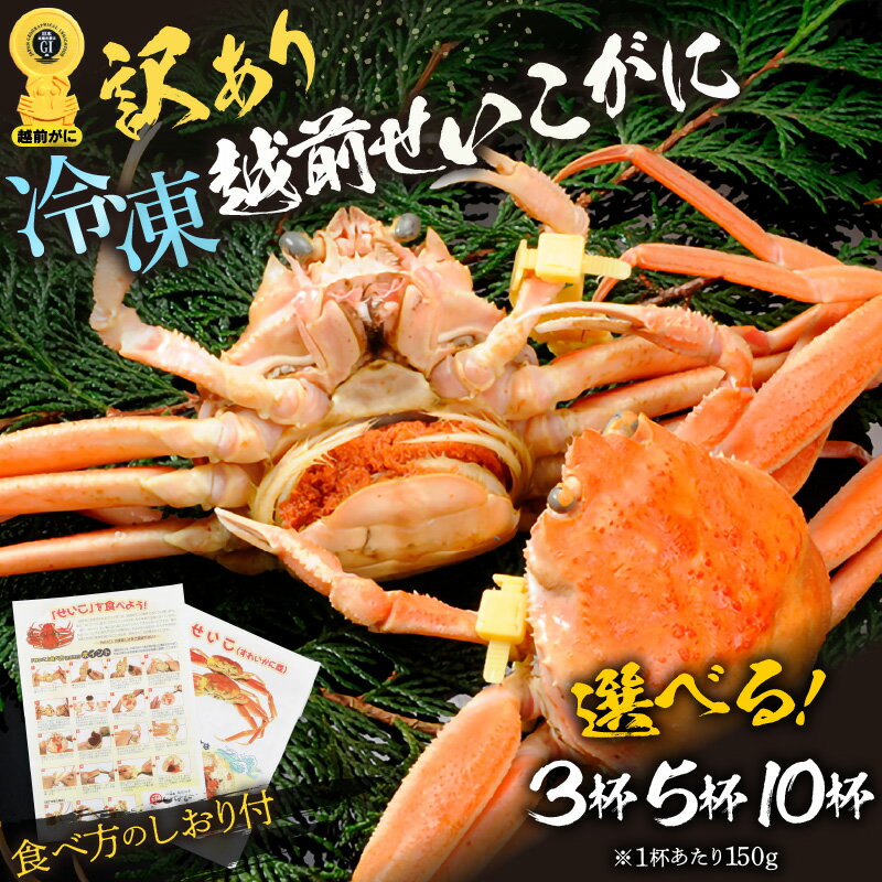 【ふるさと納税】【訳あり】急速冷凍 ボイルかに せいこがに（越前がに) 150g前後 × 3杯 / 5杯 / 10杯入 (GIタグ付き) 越前かに 食べ方しおり付【海鮮 蟹 セコガニ ずわいがに雌 かに 越前ガニ ゆでカニ 冷凍かに 送料無料 選べる杯数】