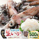 【ふるさと納税】 【急速冷凍】【訳あり】生いか 天然ケンサキイカ サイズ無選別 500g 定置網漁 皮むけ・サイズ不揃い【剣先いか 生イカ いか 白イカ いかめ...