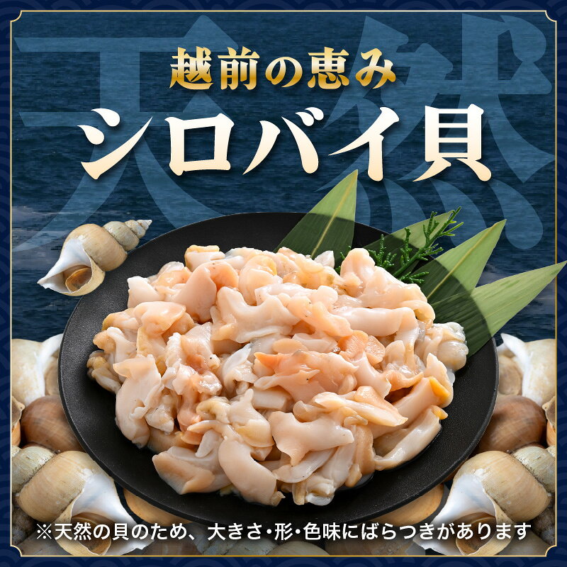 福井県越前町の【ふるさと納税】【先行予約】越前町産 天然 シロバイ貝むき身（加熱用・下処理済み）【選べる内容量：450g/750g】【2026年11月中旬より順次発送】【冷凍 小分け バイ貝 エッチュウバイ 海鮮 貝類 福丸】｜アングル3